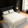 Bedding Queen Bed Sheets Set - 4 Piece Bedding - Brushed Microfiber - Shrinkage and Fade Resistant - Easy Care (Queen, White)